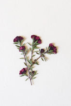 Carica l'immagine nel visualizzatore di Gallery, BRACCIALE TINY