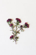 Carica l'immagine nel visualizzatore di Gallery, COLLANA WIDE