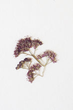 Carica l'immagine nel visualizzatore di Gallery, ORECCHINI NEEDLE