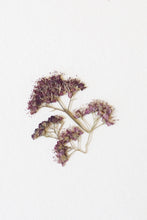 Carica l'immagine nel visualizzatore di Gallery, COLLANA DOUBLE