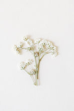 Carica l'immagine nel visualizzatore di Gallery, ANELLO ROUNDABOUT