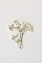 Carica l'immagine nel visualizzatore di Gallery, COLLANA WIDE